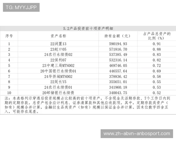 意甲球队收入构成表格解析及财务管理经验